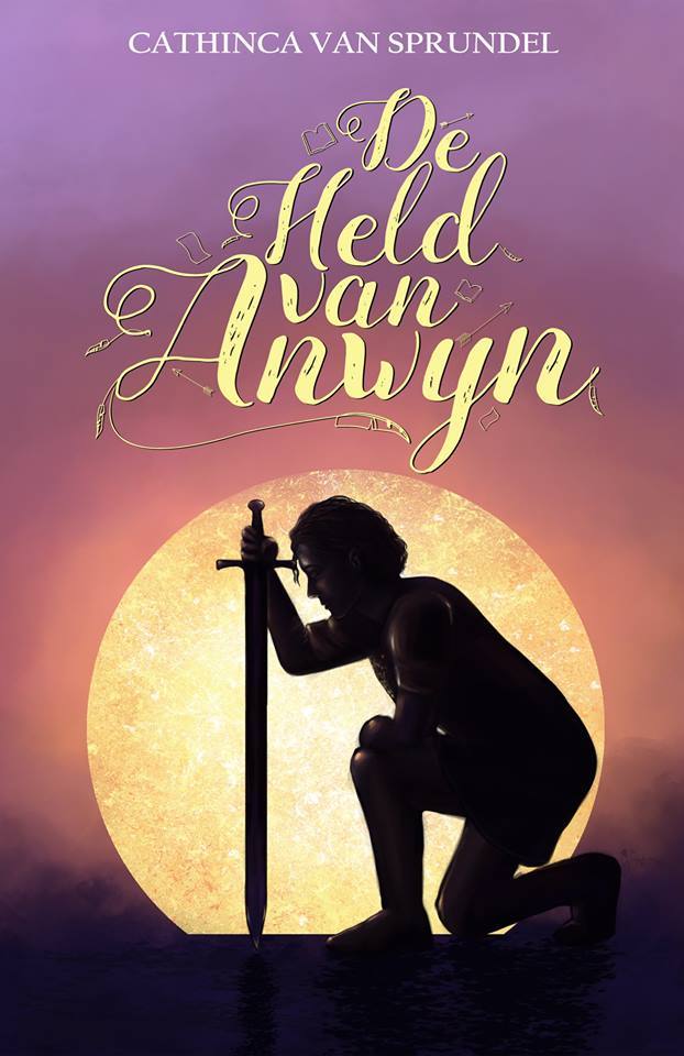 De Held van Anwyn book cover