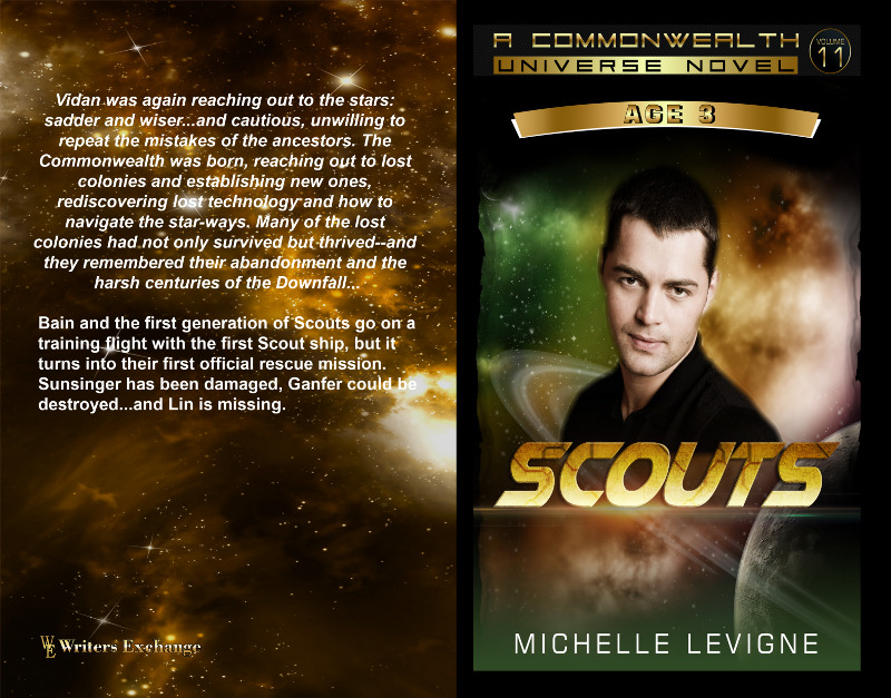 Scouts book cover