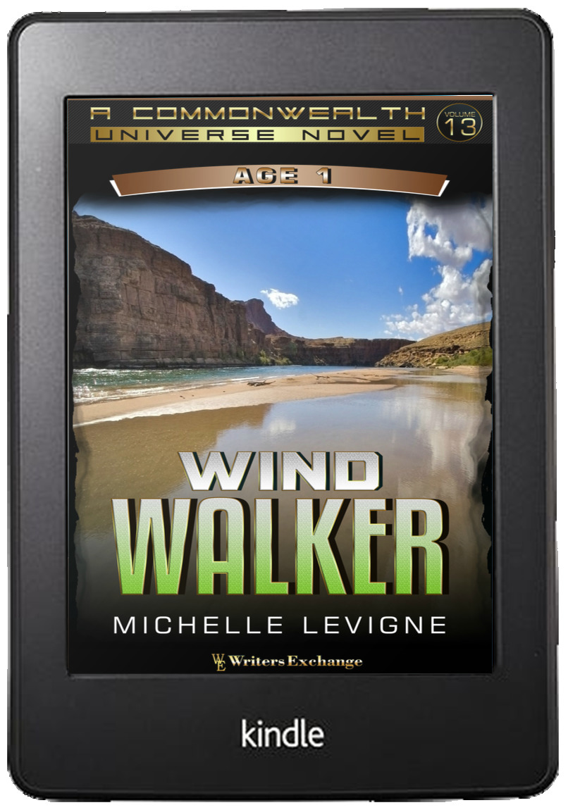 Wind Walker book cover