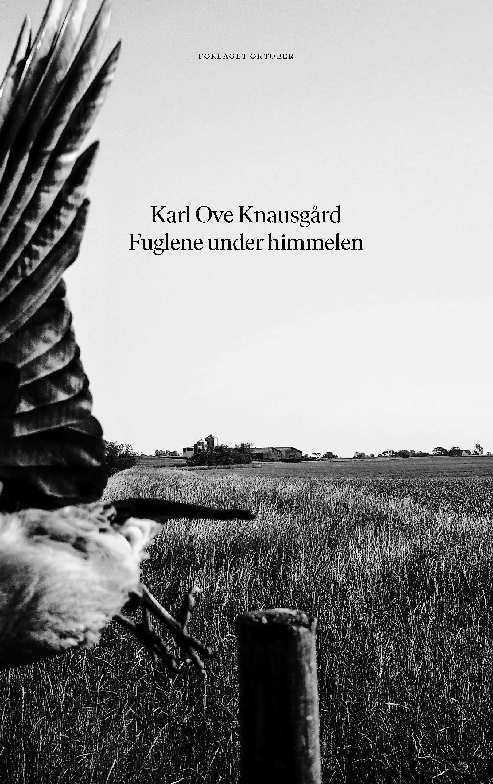 Fuglene under himmelen book cover
