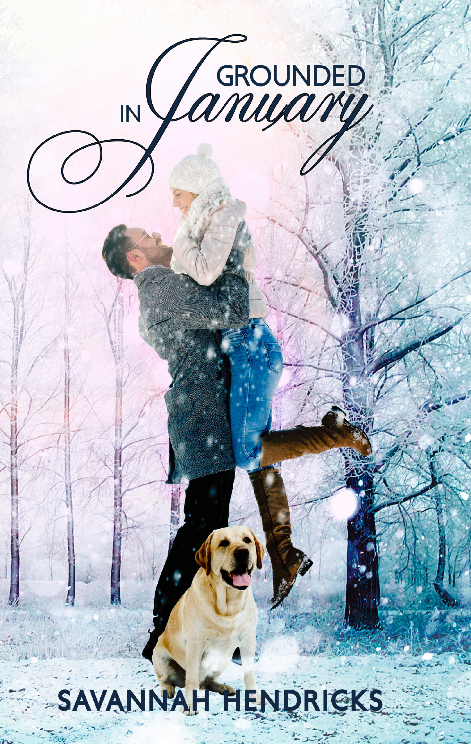 Grounded in January book cover