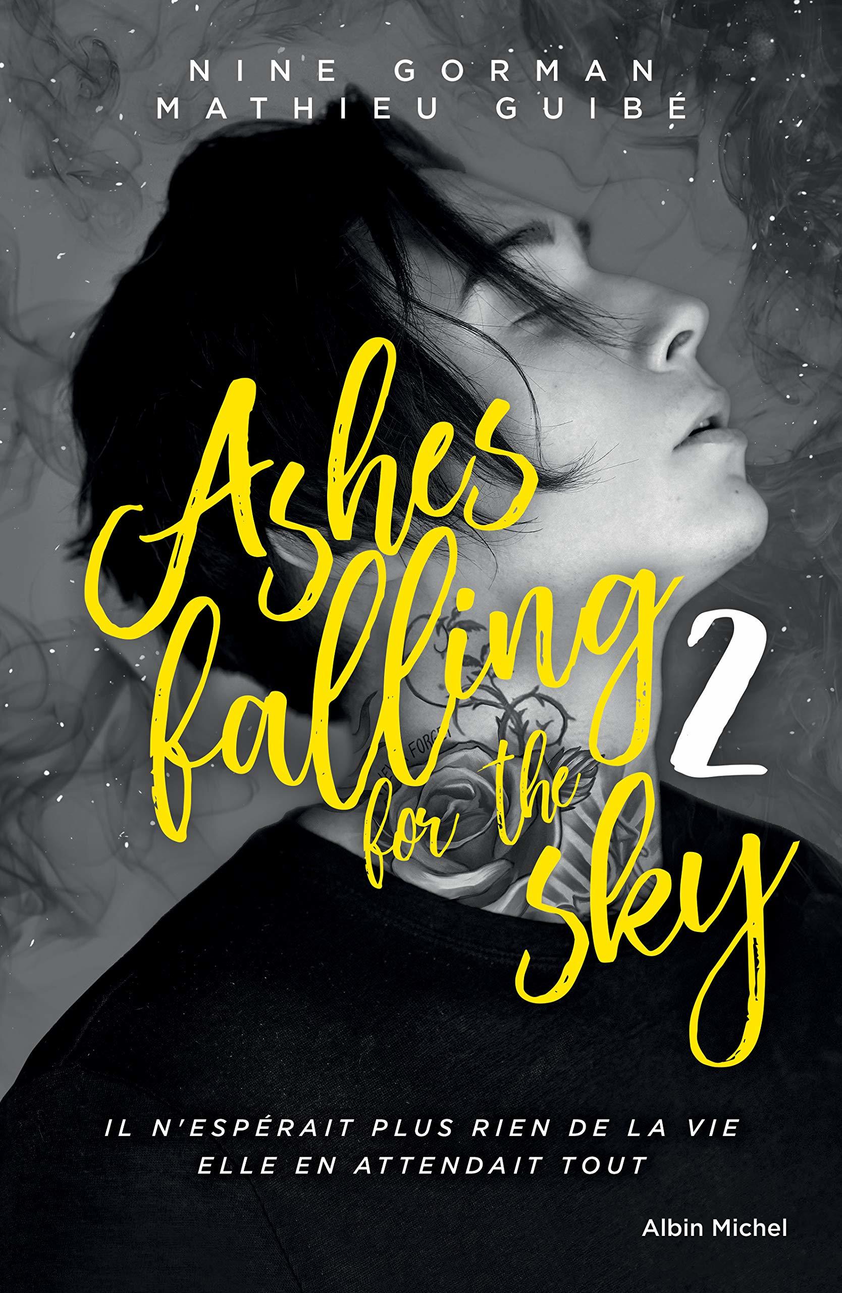 Ashes falling for The Sky 2 book cover