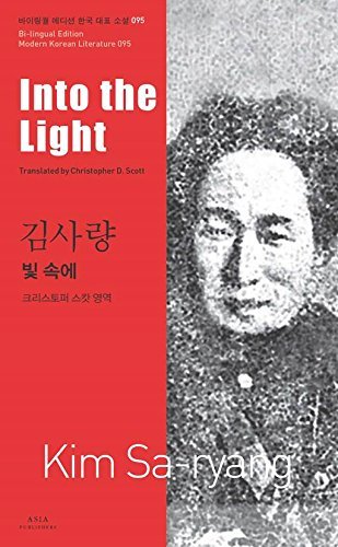 Into the Light book cover