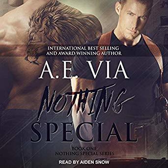 Nothing Special (Nothing Special #1)