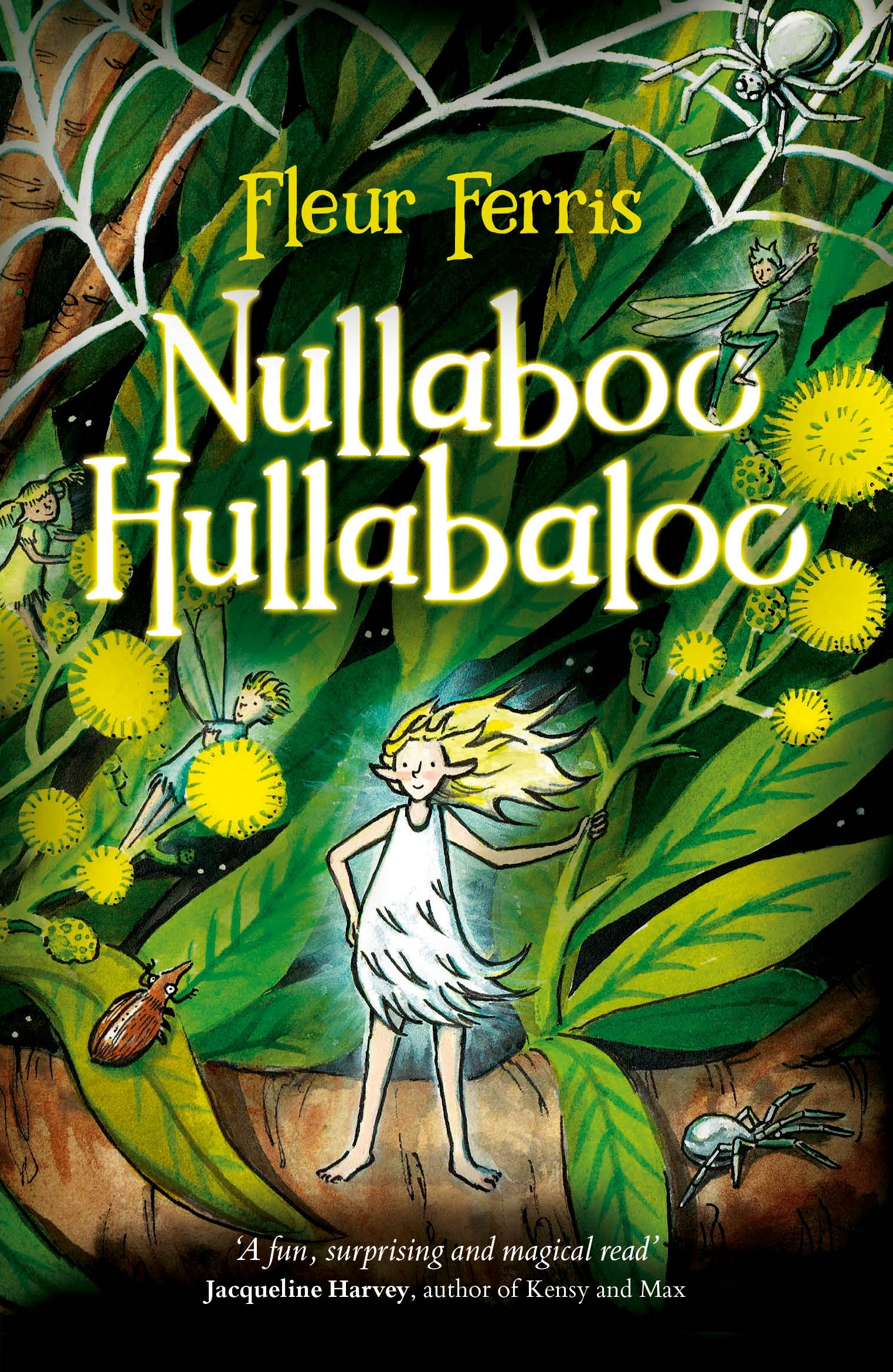Nullaboo Hullabaloo book cover