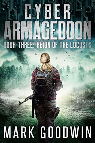 Cyber Armageddon book cover 3