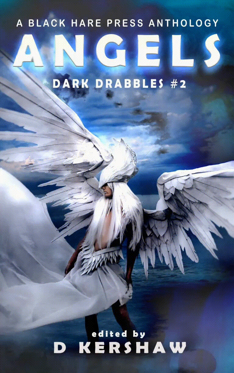 Dark Drabbles book cover 1
