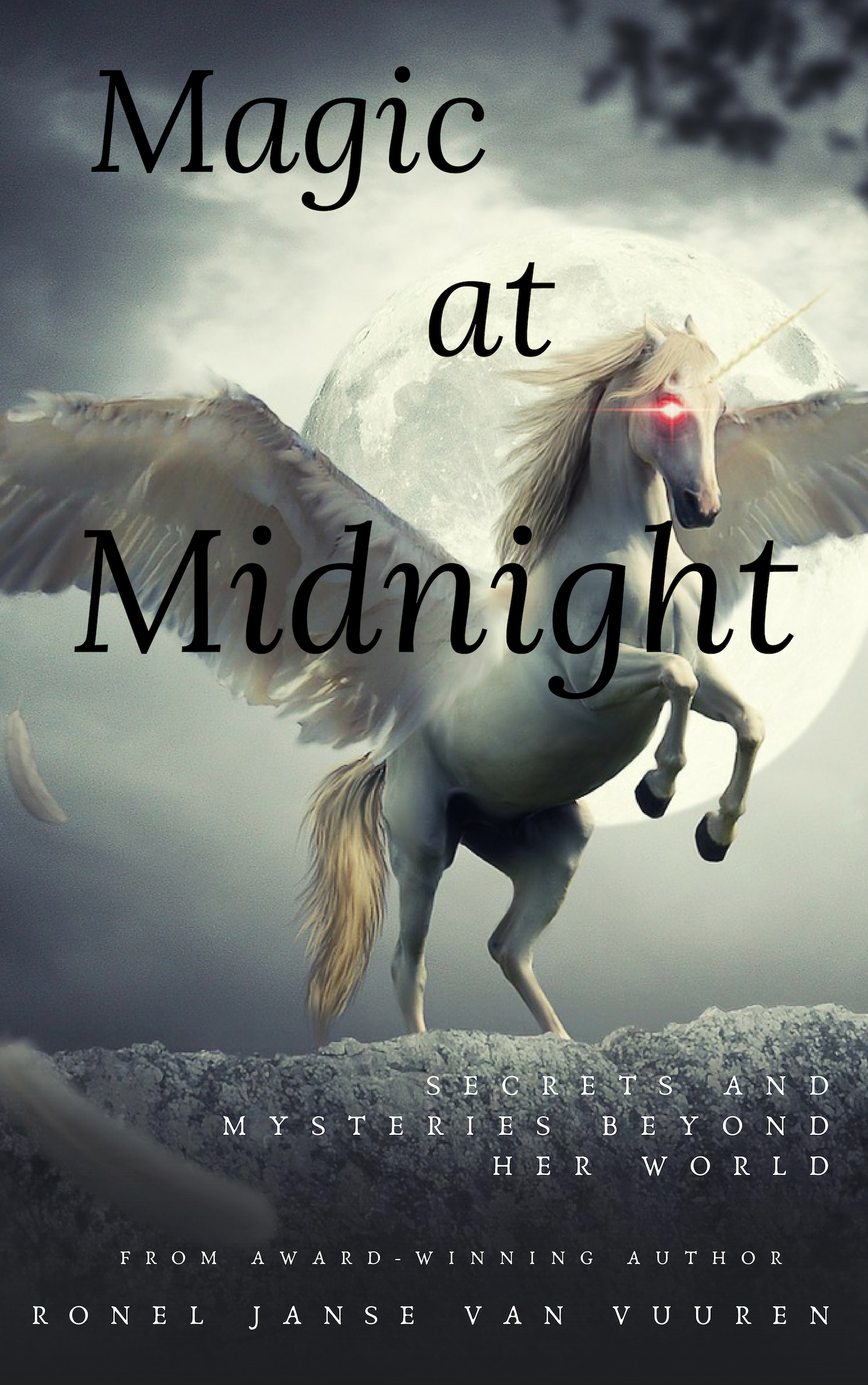 Magic at Midnight by Ronel Janse van Vuuren | Goodreads