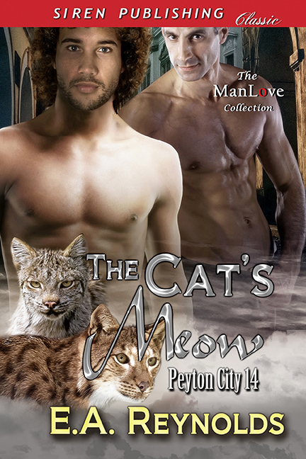 The Cat's Meow book cover