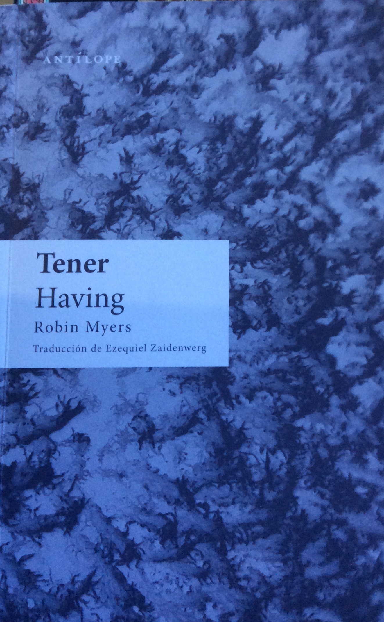 Having/Tener
