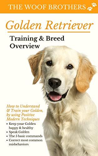 Golden Retriever Training & Breed Overview: How to Understand & Train ...