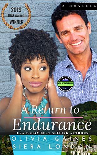 A Return to Endurance book cover