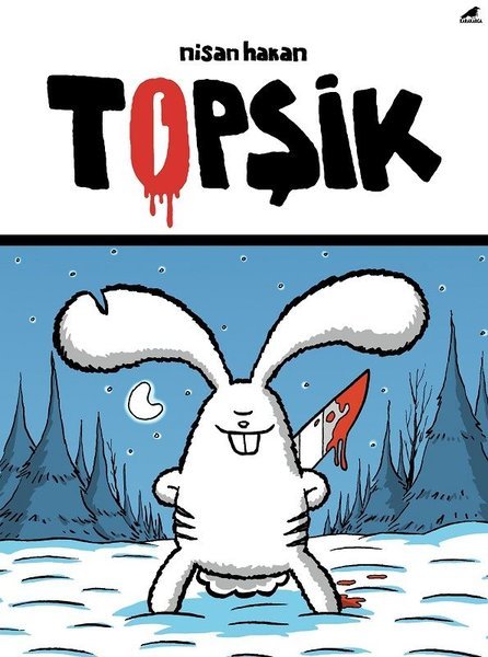 Topşik book cover