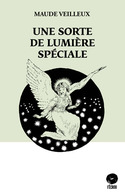 Une sorte de lumière spéciale book cover
