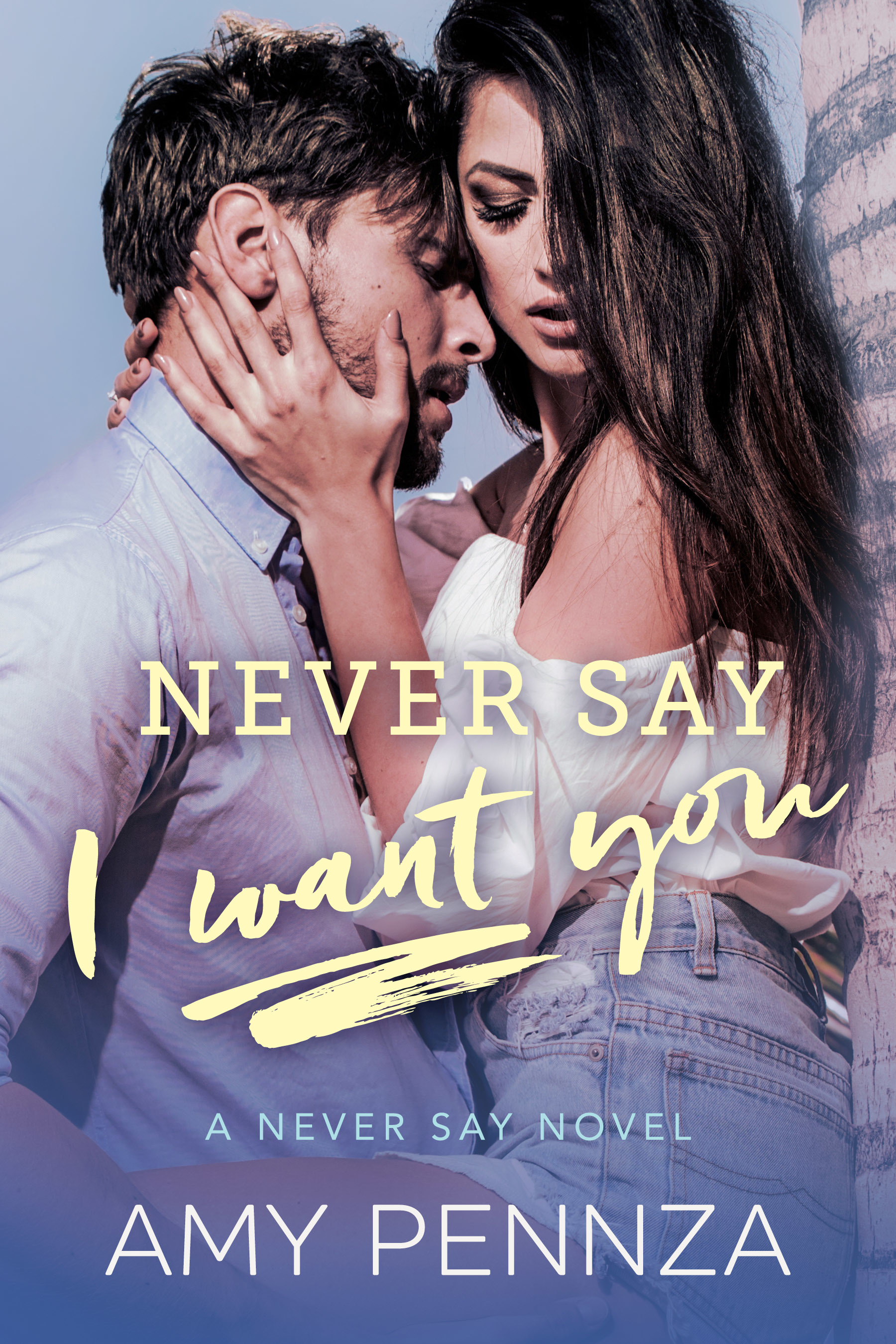 Never Say book cover 2