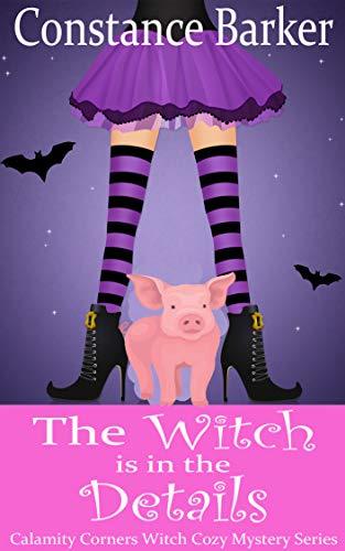 The Witch is in the Details book cover