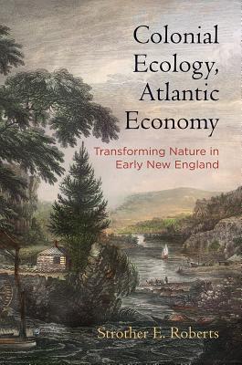 Colonial Ecology, Atlantic Economy book cover