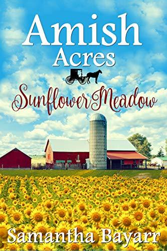 Amish Acres book cover 3