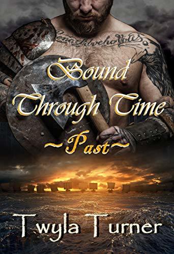 Viking Brothers book cover 1