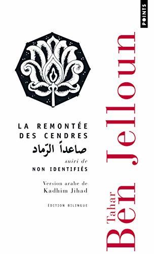 La remontée des cendres book cover