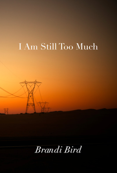 I Am Still Too Much