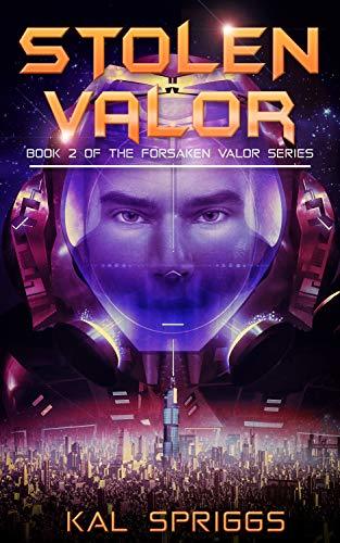Stolen Valor book cover