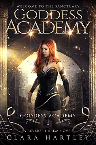 Goddess Academy book cover 1