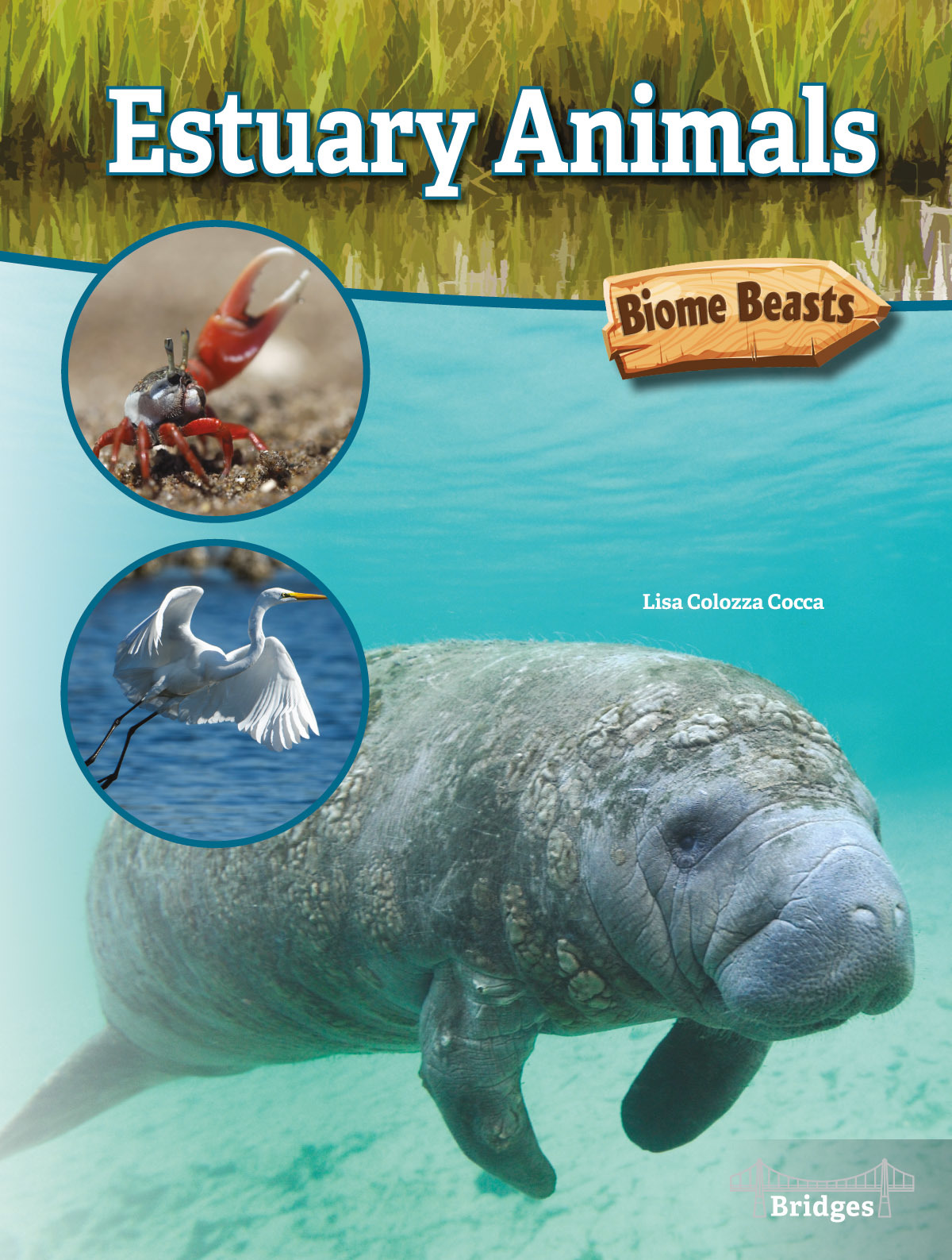 biome-beasts-estuary-animals-by-cocca-goodreads