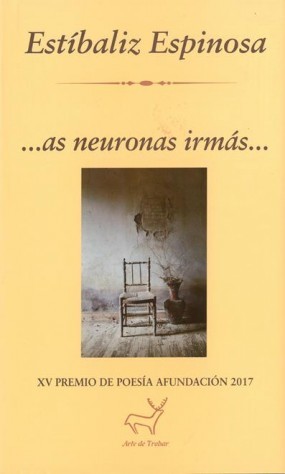 As neuronas irmás book cover