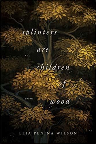 Splinters Are Children of Wood (Ernest Sandeen Prize in Poetry)