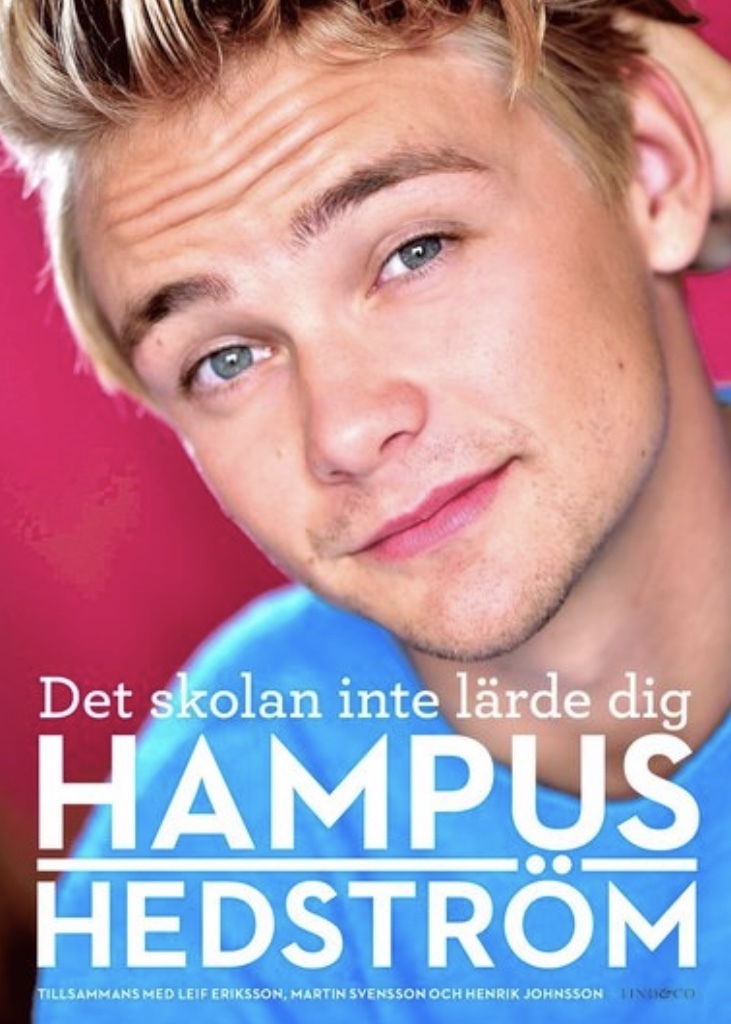 Det skolan inte lärde dig book cover