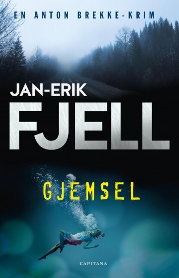 Gjemsel book cover