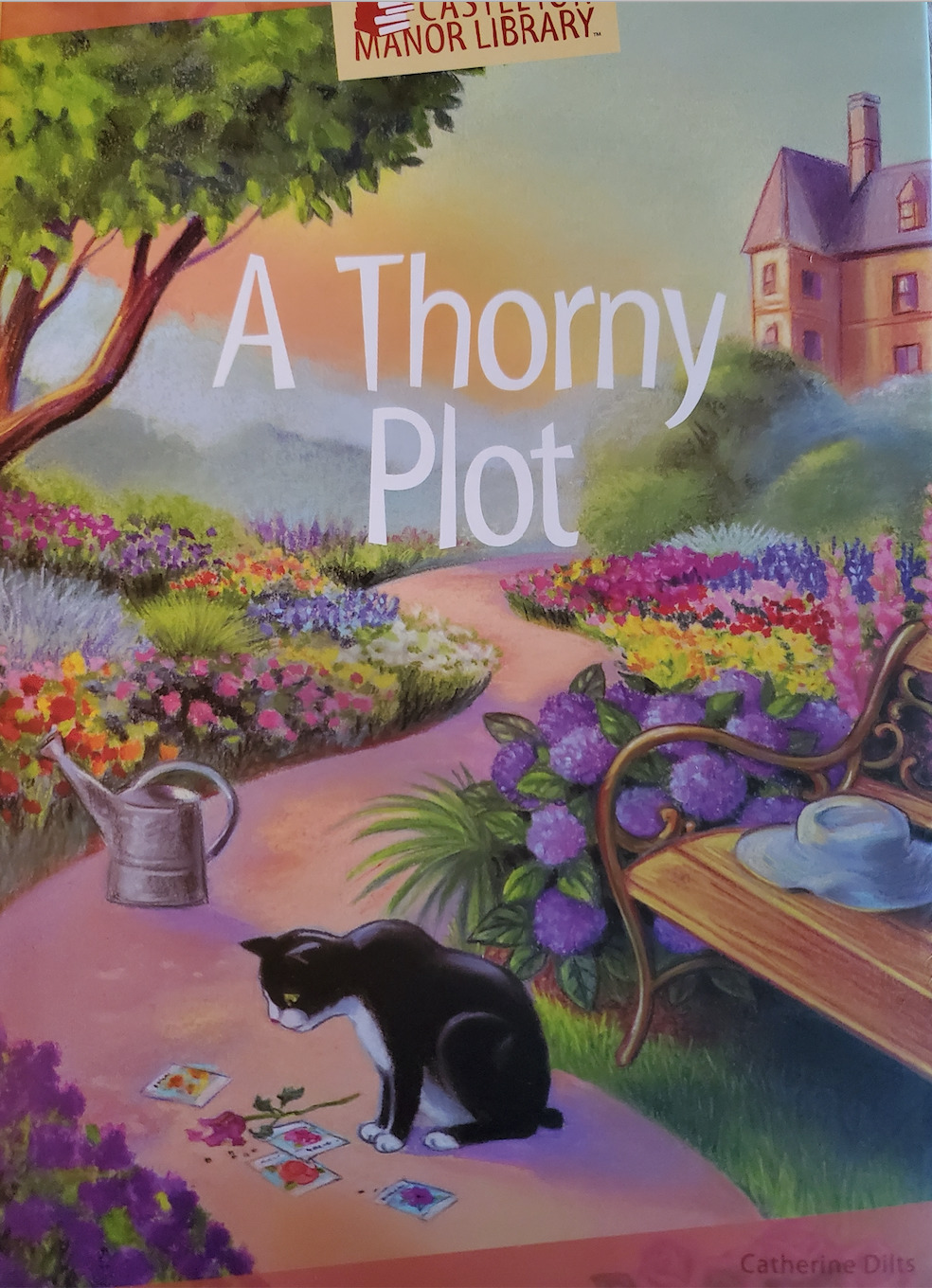 A Thorny Plot book cover