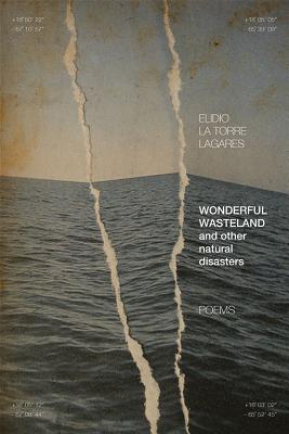 University Press of Kentucky New Poetry & Prose Series book cover 2