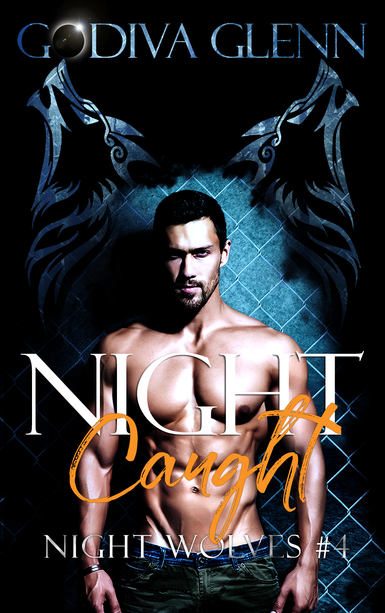 Night Caught book cover