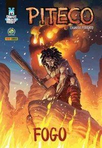Piteco book cover