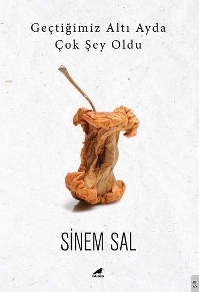 Geçtiğimiz Altı Ayda Çok şey Oldu book cover