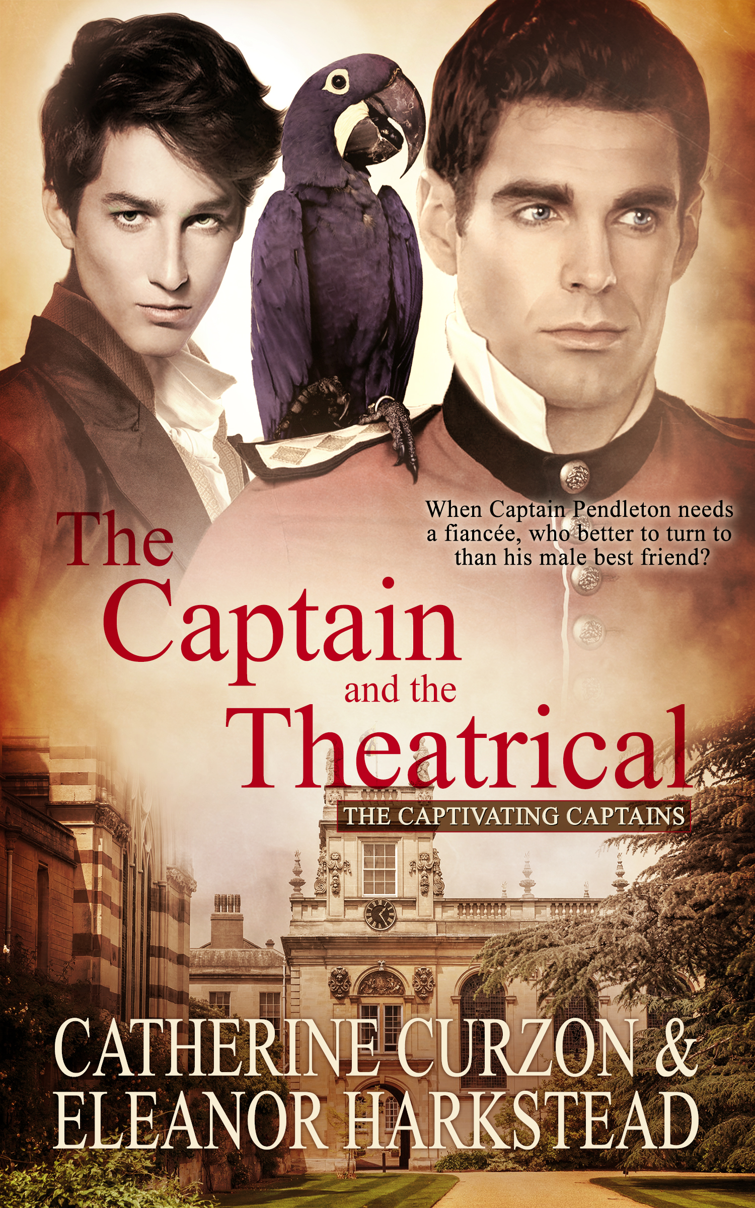 The Captain and the Theatrical book cover