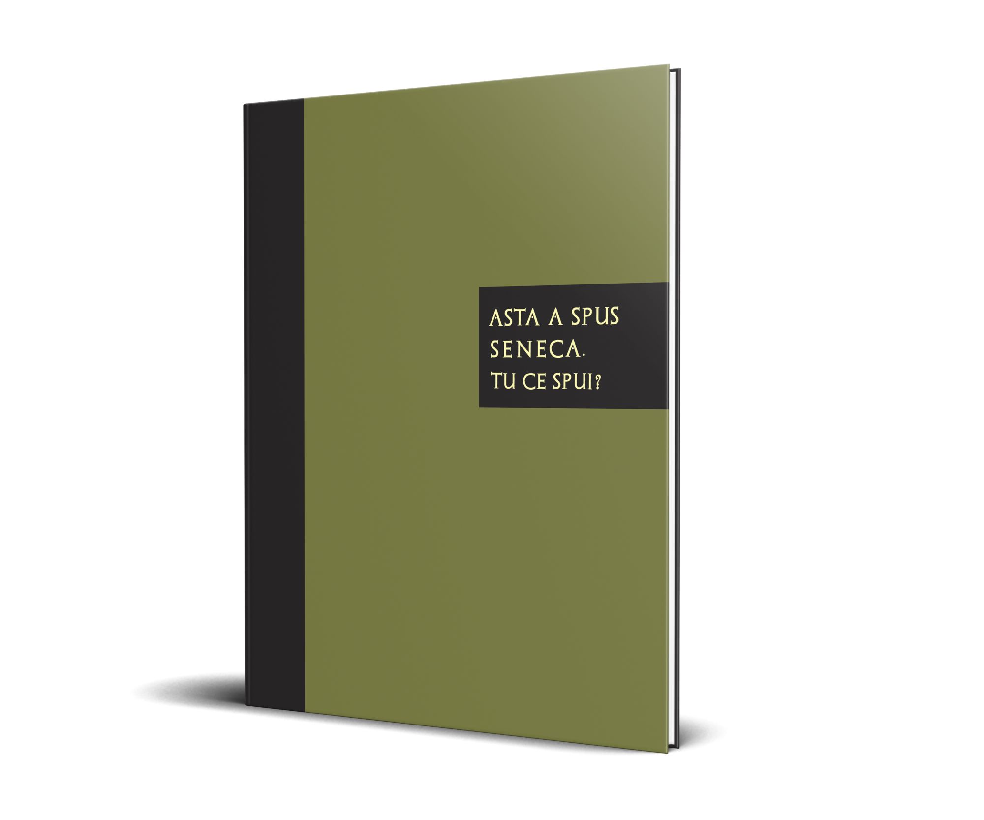 Asta a spus Seneca.Tu ce spui? book cover