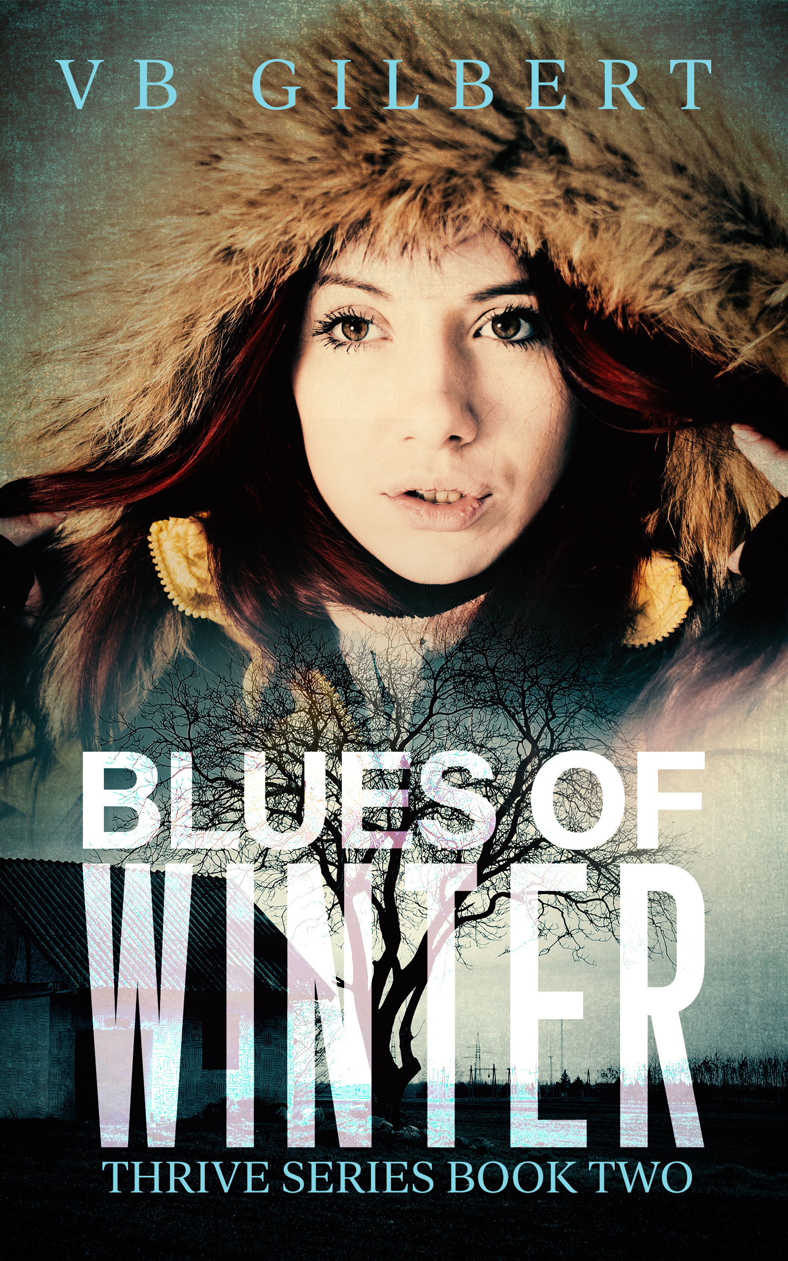 Blues of Winter book cover