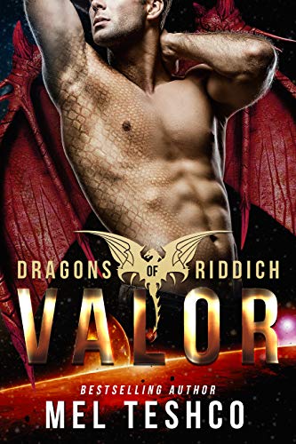 Valor book cover