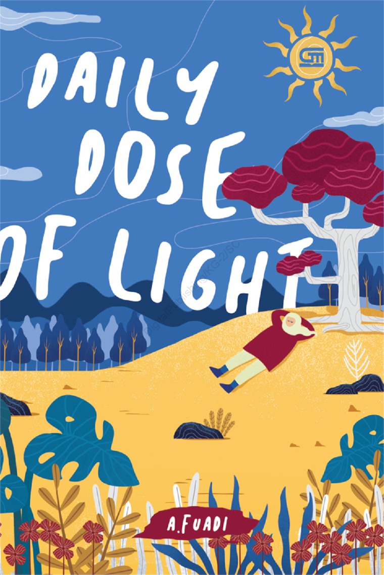 Daily Dose of Light book cover