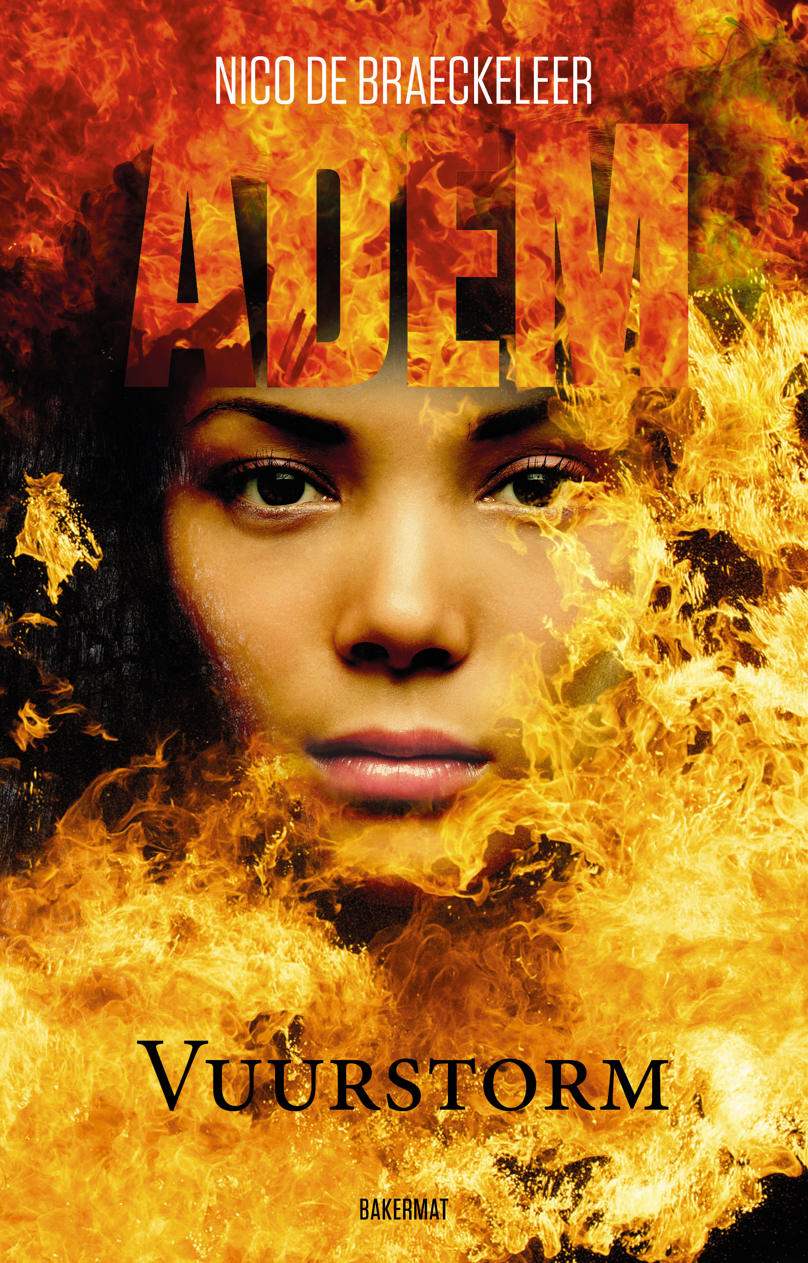 Vuurstorm book cover