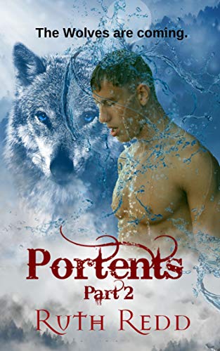 Portents book cover 2