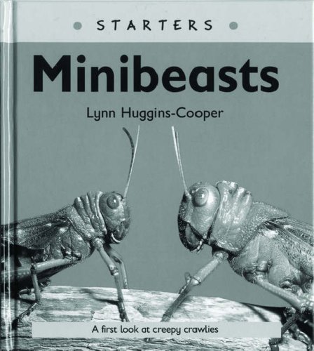Read Write Inc. Comprehension: Module 24: Children's Books: Mini Beasts ...