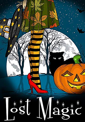 Lost Magic book cover