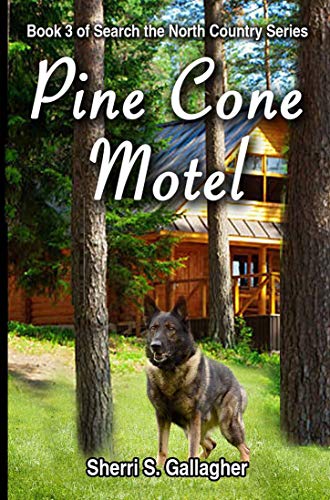 Pine Cone Motel