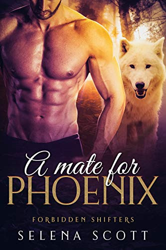 A Mate For Phoenix