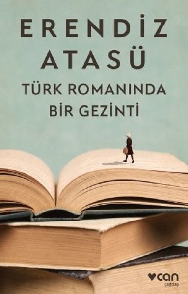 Türk Romanında Bir Gezinti book cover