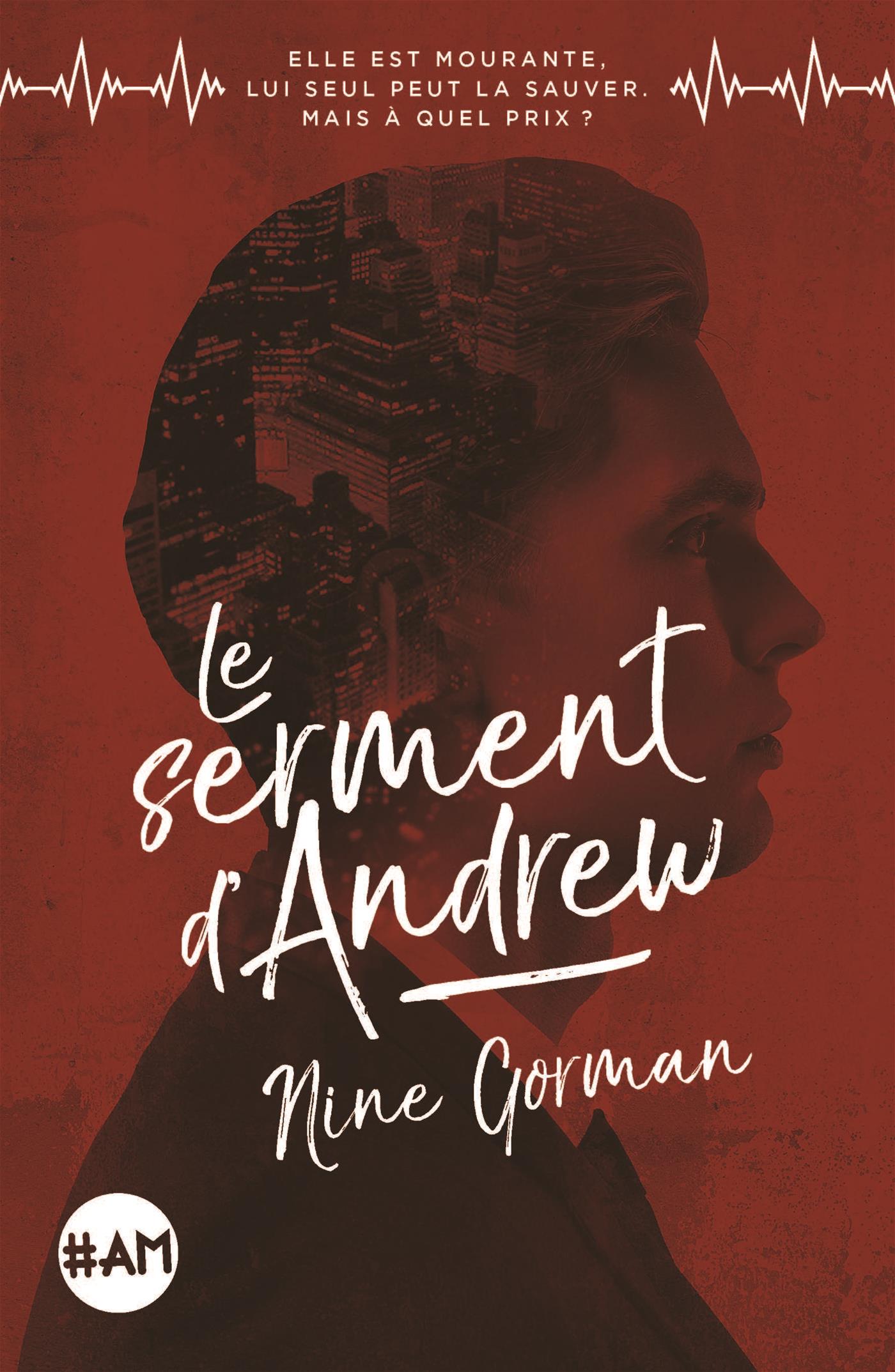 Le Serment d'Andrew book cover